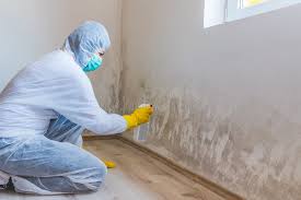 Mold Remediation for Vacation Homes in Coventry Lake, CT